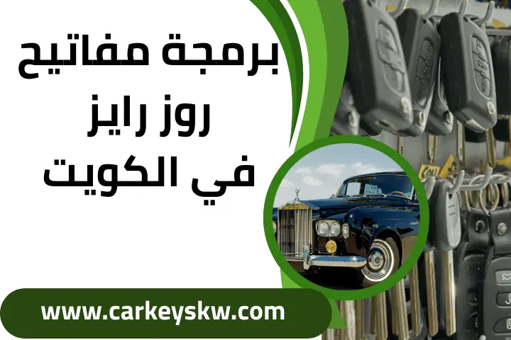 فني برمجة مفاتيح روز رايز