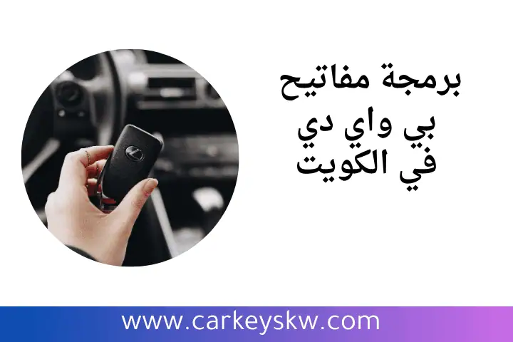 خدمة برمجة مفاتيح بي واي دي