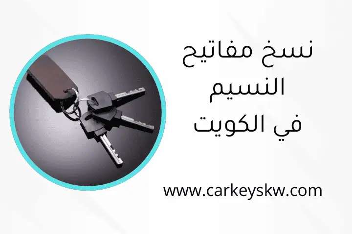 فني نسخ مفاتيح النسيم